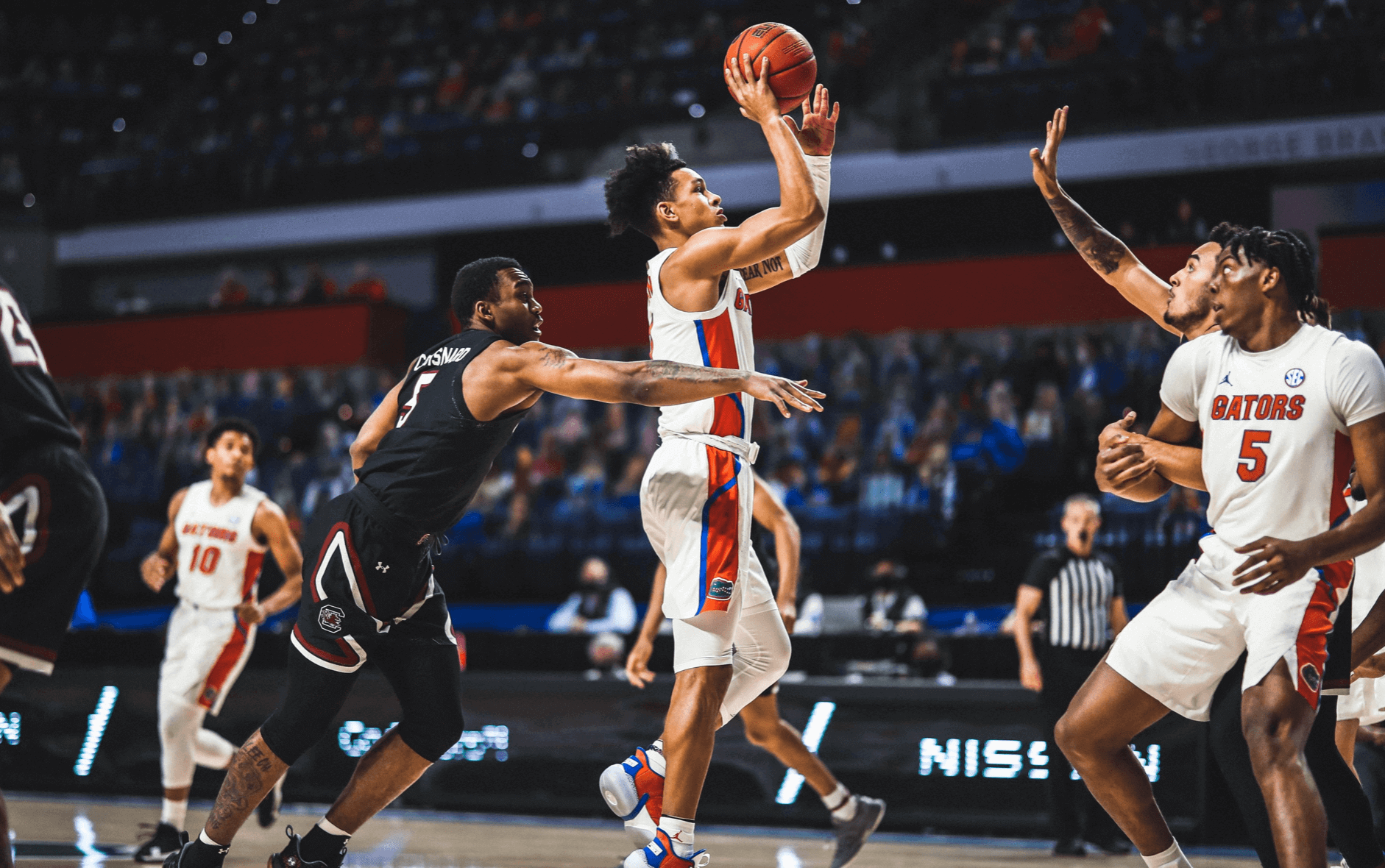 Gator basketball